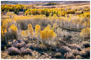 Aspen View