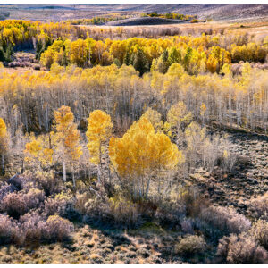 Aspen View