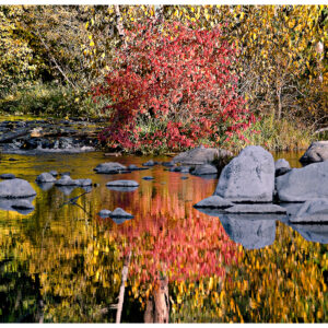 Autumnal Yuba