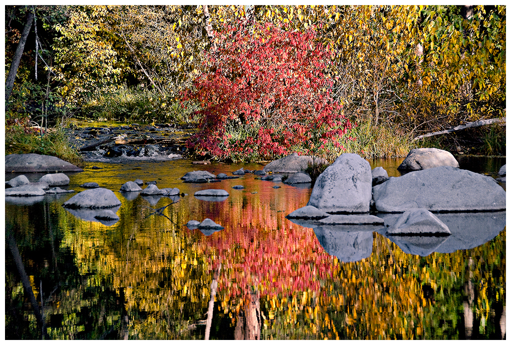 Fall foliage by the Yuba River