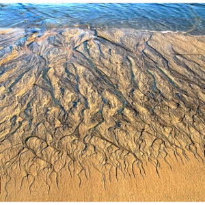 Baja Beach