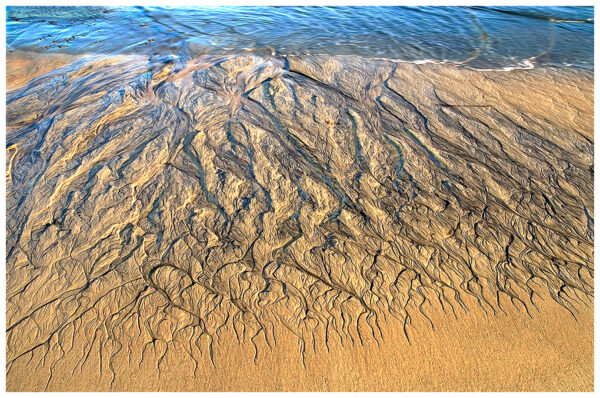 Baja Beach