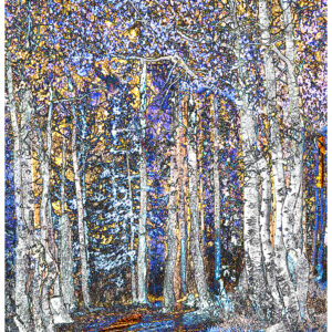 Enchanted Aspen