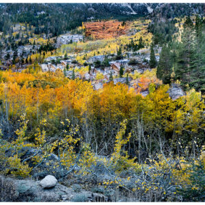 Mountain Mosaic