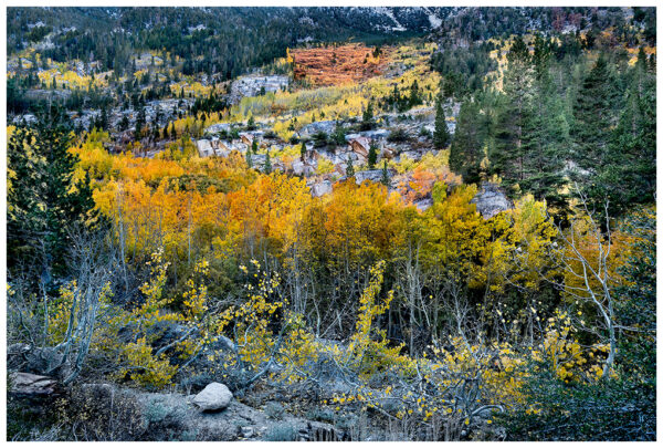 Mountain Mosaic