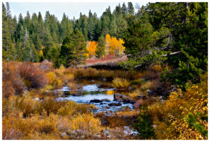 Fall in the Sierra