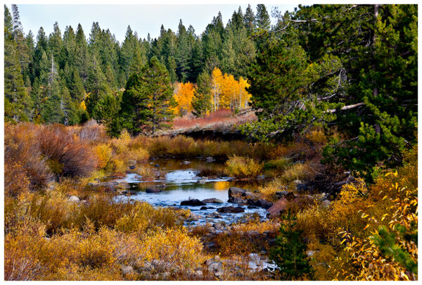 October Aspen