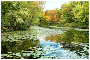 Fall foliage in Vermont