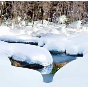 Yuba Snow