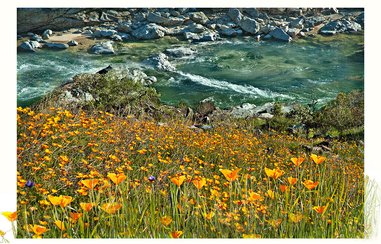 Yuba Spring