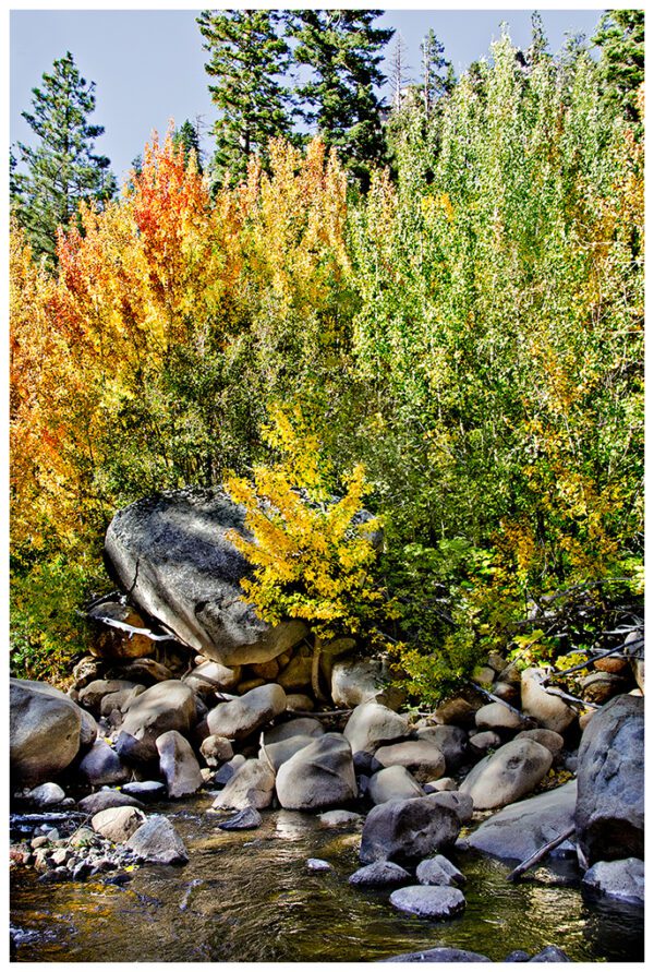 Autumn Flourish