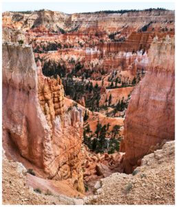 Bryce Canyon hoodoos
