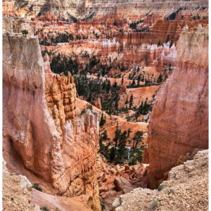 Into Bryce Canyon