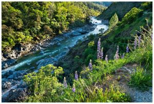 Yuba River at Bridgeport