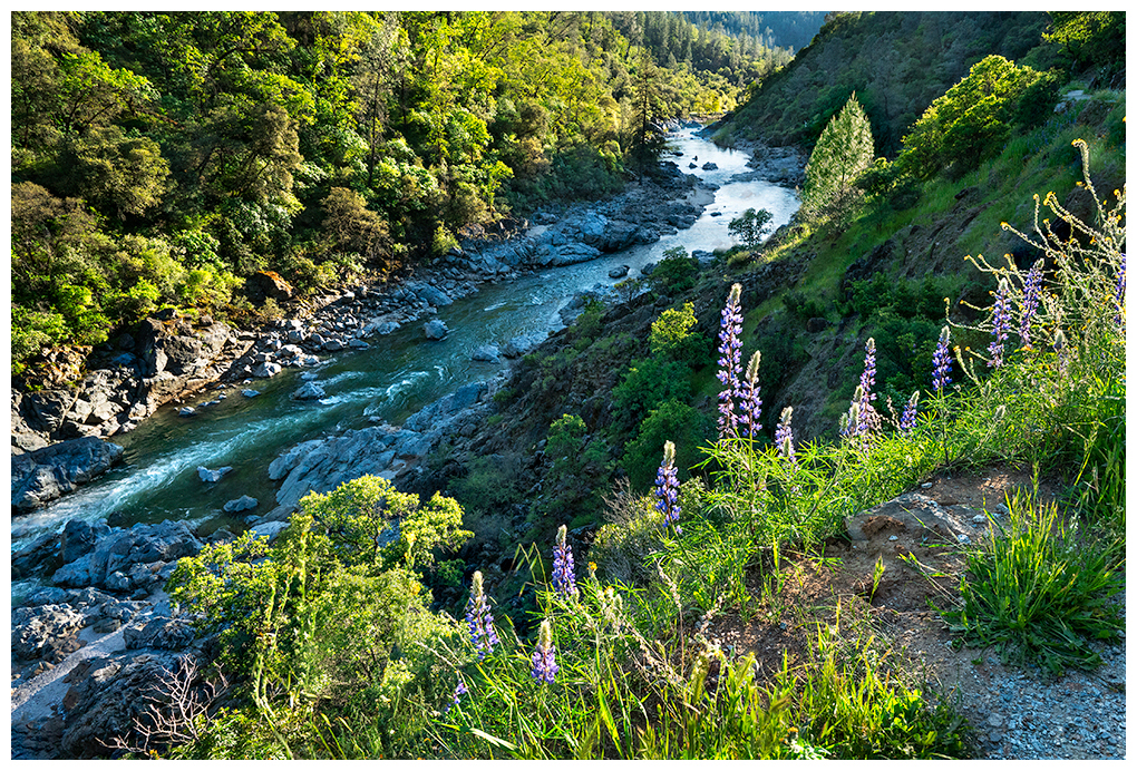 Yuba River at Bridgeport