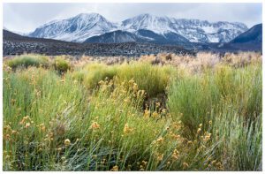 Photo from Mono Lake to the mountains of the eastern Sierra
