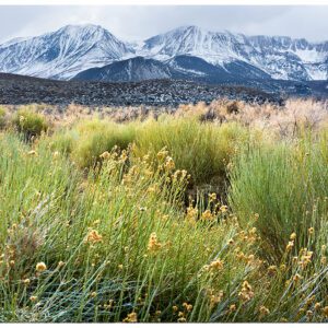 Photo from Mono Lake to the mountains of the eastern Sierra