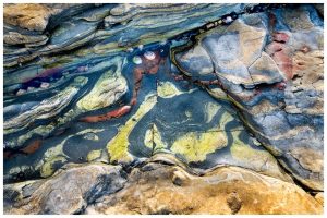 Photograph of a tide pool in Point Lobos State Park. It was low tide and these beautiful rocks and shells were visible. I especially like the eyes peaking out from under the large rock.