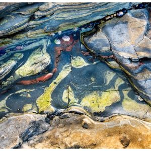 Photograph of a tide pool in Point Lobos State Park. It was low tide and these beautiful rocks and shells were visible. I especially like the eyes peaking out from under the large rock.
