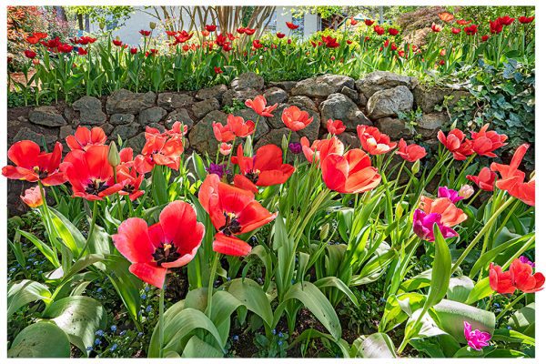 Hello Spring