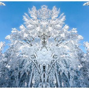 Winter Totem
